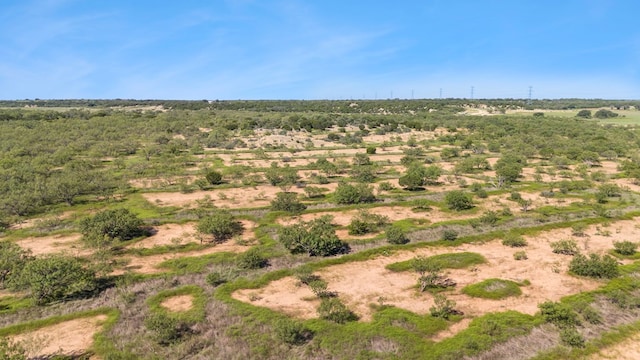 Listing photo 3 for TBD Fm 2633, Santa Anna TX 76878