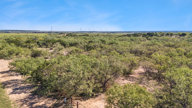 Listing photo 2 for TBD Fm 2633, Santa Anna TX 76878