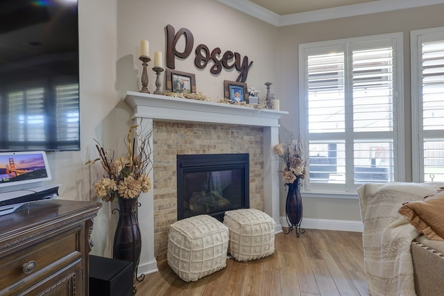 living room featuring wood finished floors, baseboards, a fireplace, and crown molding