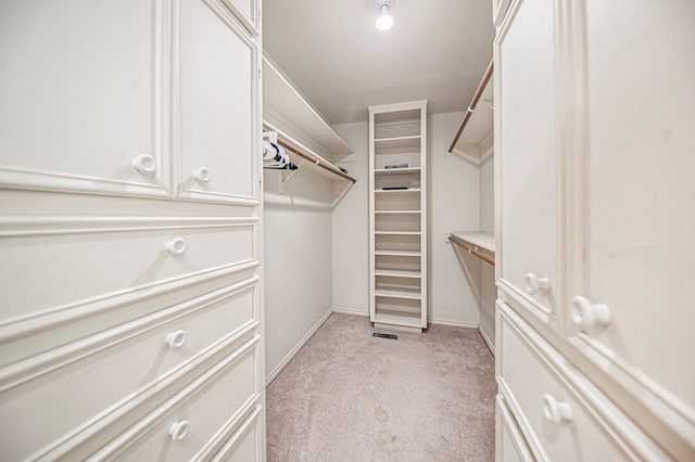 walk in closet with light carpet