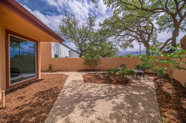 view of yard featuring a patio