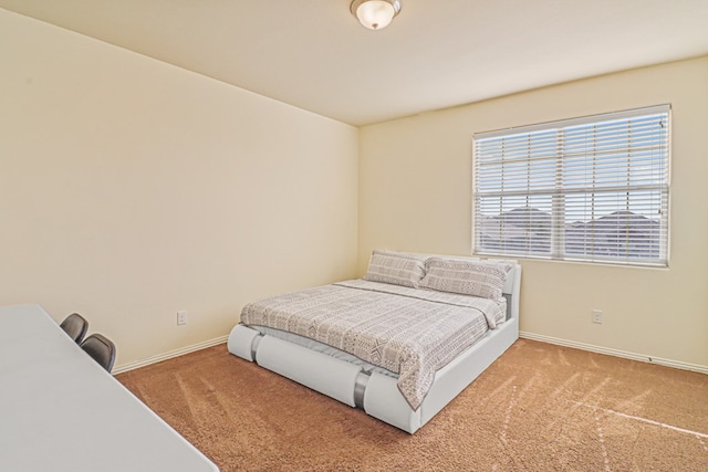 bedroom featuring carpet