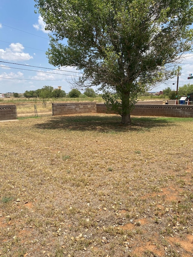 view of yard featuring a rural view