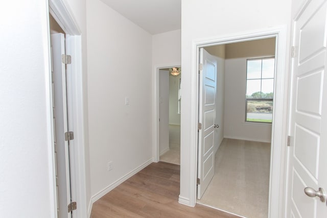 corridor featuring light hardwood / wood-style flooring