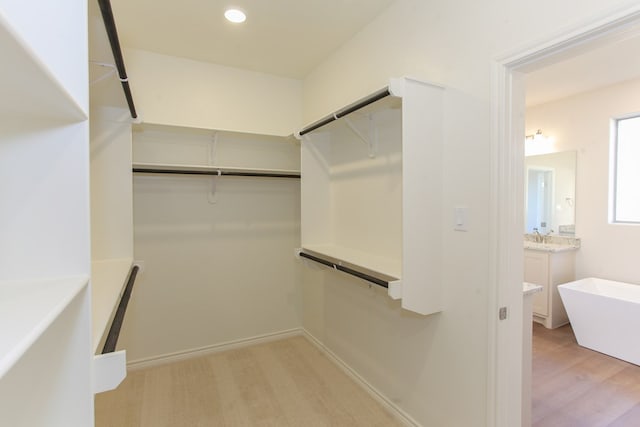 spacious closet with light hardwood / wood-style flooring