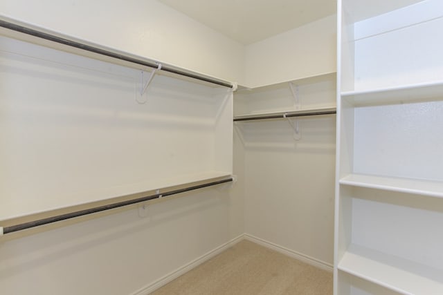 spacious closet with light carpet