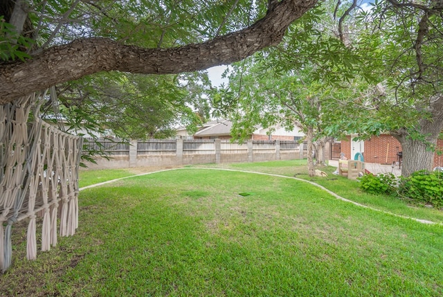 1703 Laurel Ave, Odessa, TX 79761 - view of yard