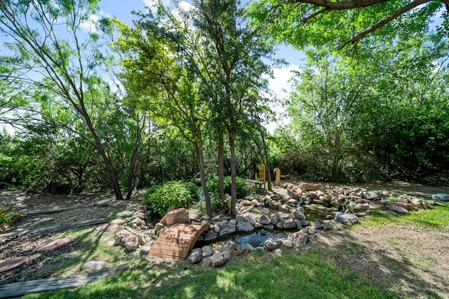 2100 Edgemere Rd, Big Spring, TX 79720 - view of yard
