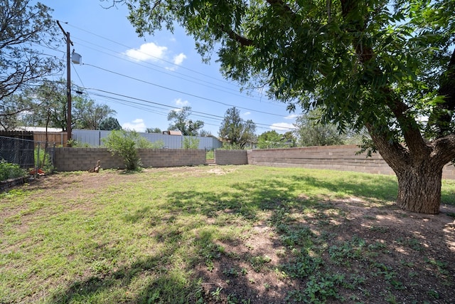 1410 Tucson Rd, Big Spring, TX 79720 - view of fenced backyard