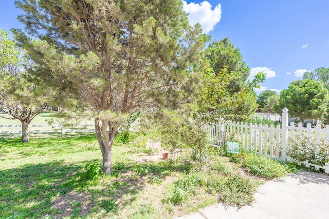 209 Bayberry Pkwy, Midland, TX 79705 - view of yard