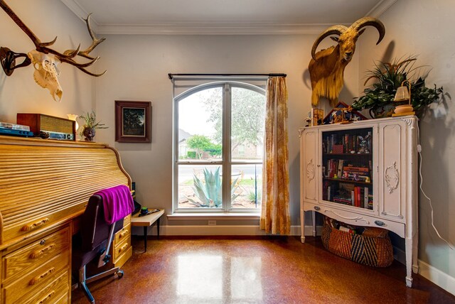 1102 Castle Rock Ct, Midland, TX 79705 - office space featuring ornamental molding and baseboards