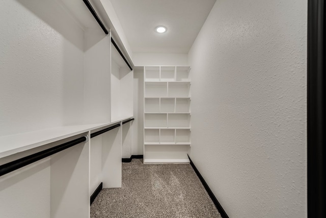 spacious closet with dark colored carpet