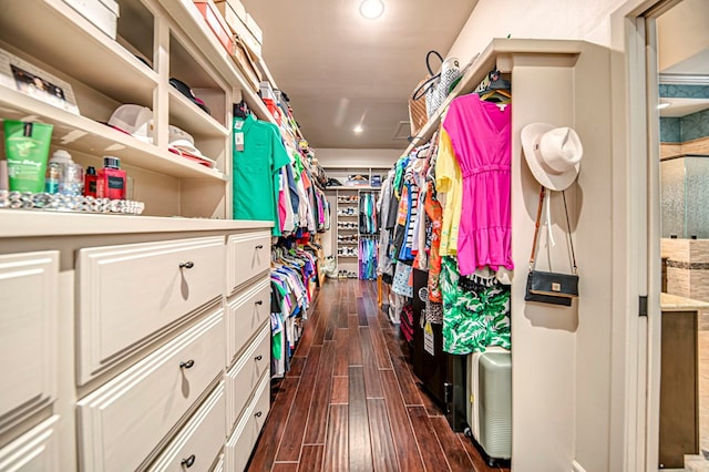 walk in closet featuring wood finish floors