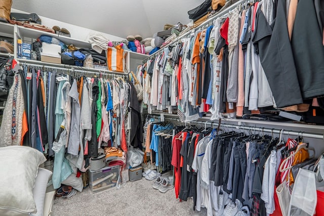 walk in closet with carpet flooring