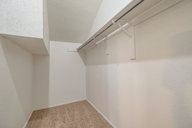 walk in closet featuring carpet floors