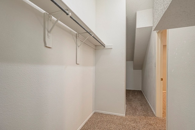 spacious closet with light carpet