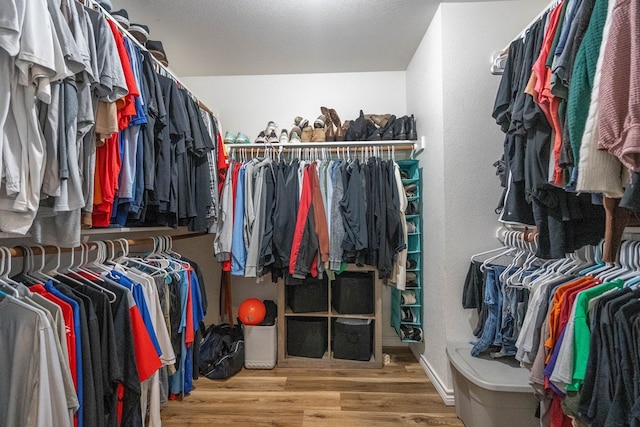 spacious closet featuring wood finished floors