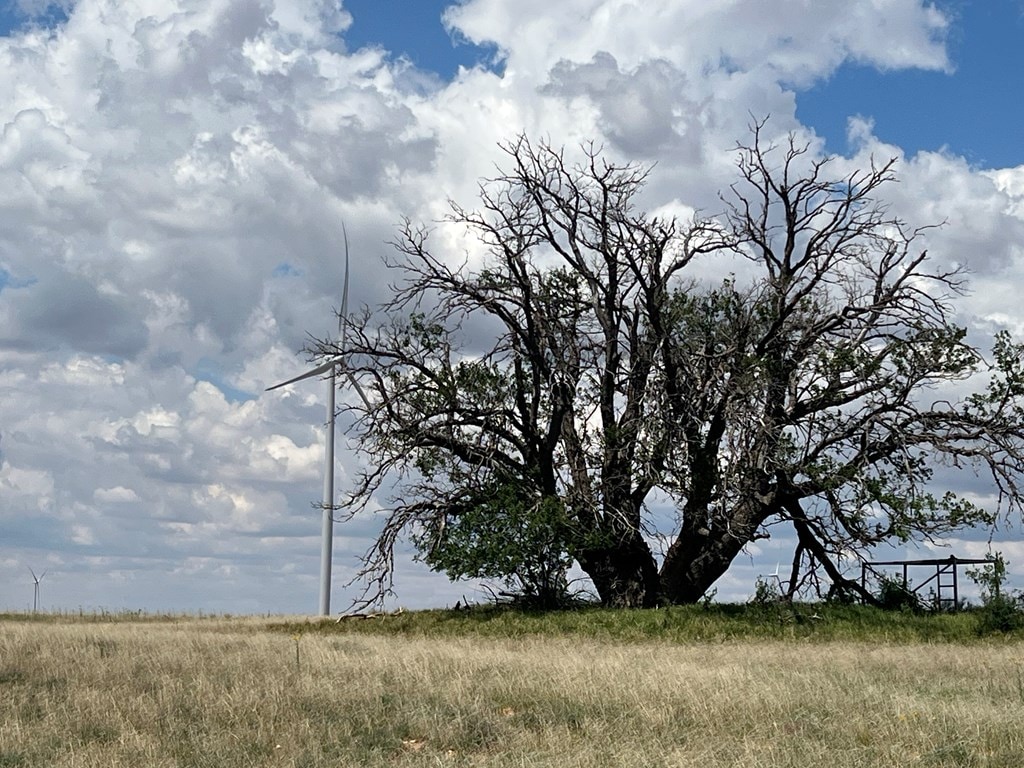 000 Round Top Rd, Snyder, TX 79549 - photo 2