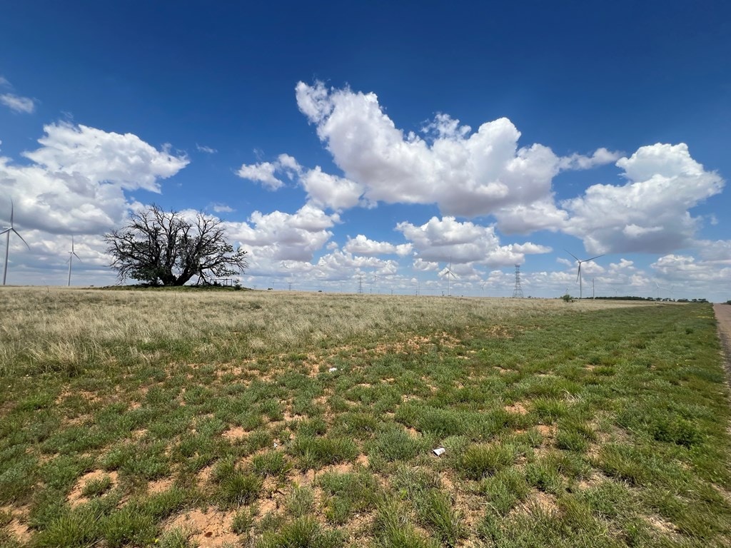 000 Round Top Rd, Snyder, TX 79549 - photo 3