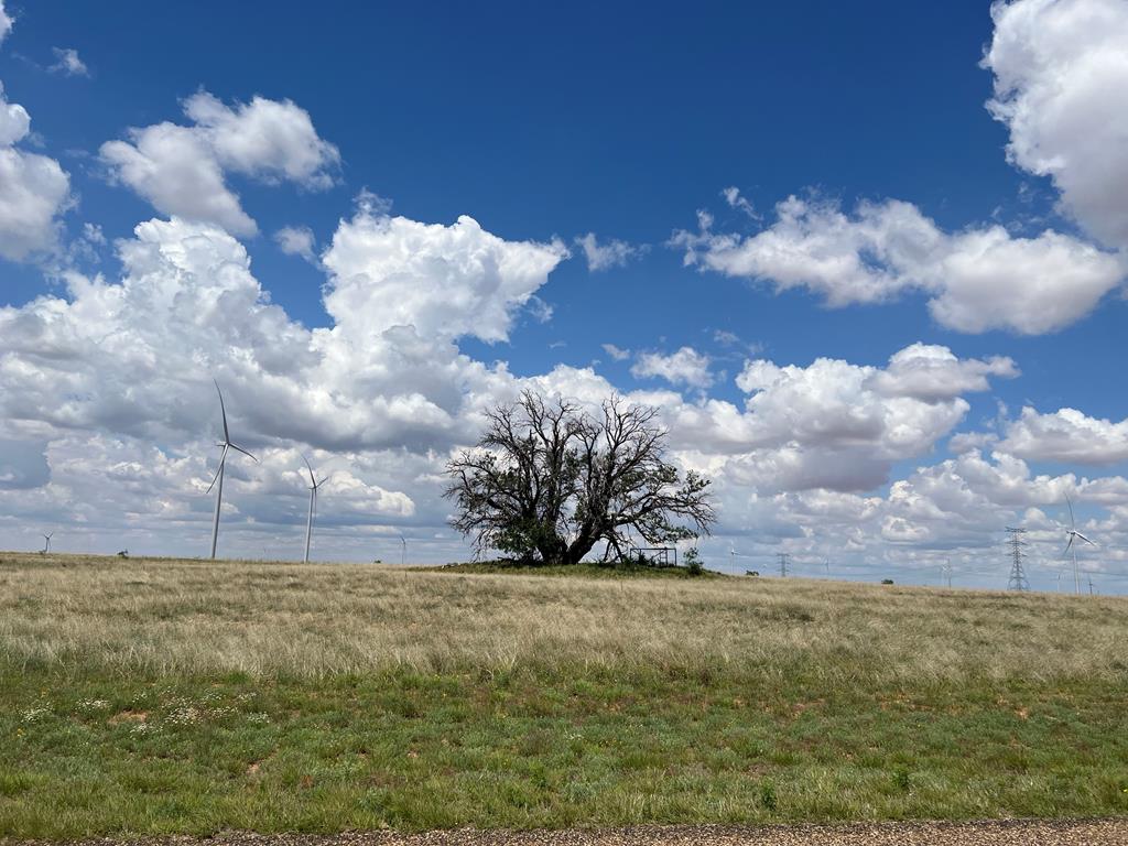 000 Round Top Rd, Snyder, TX 79549 - photo 1