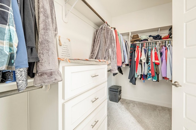spacious closet with carpet floors
