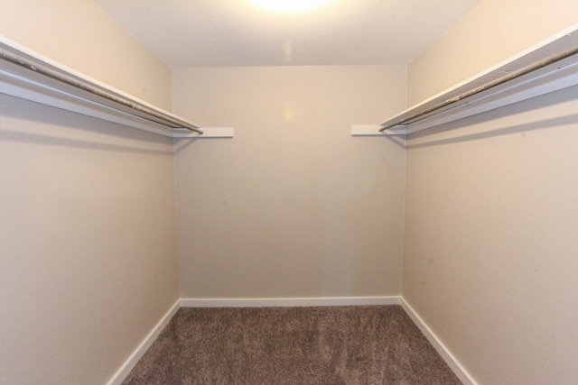 2101 Grace St, Big Spring, TX 79720 - walk in closet with carpet