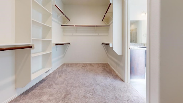 walk in closet featuring carpet flooring