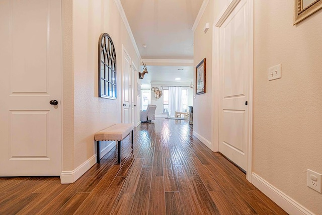 1202 Stonefield Dr, Midland, TX 79706 - corridor with dark wood-type flooring, baseboards, and crown molding