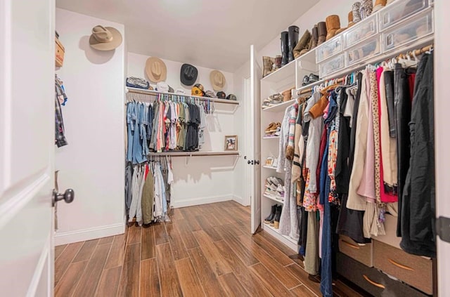 spacious closet featuring wood finished floors