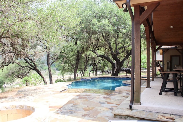 view of pool featuring a patio area