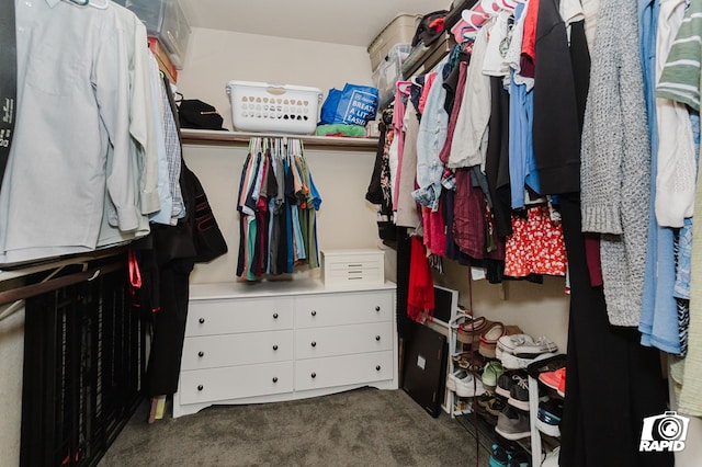 spacious closet featuring carpet floors