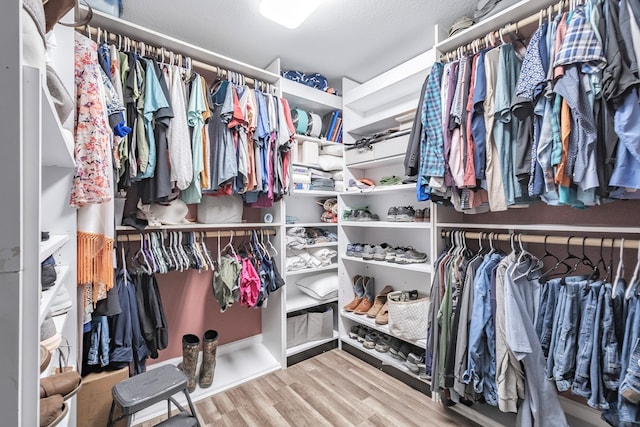 spacious closet with hardwood / wood-style floors