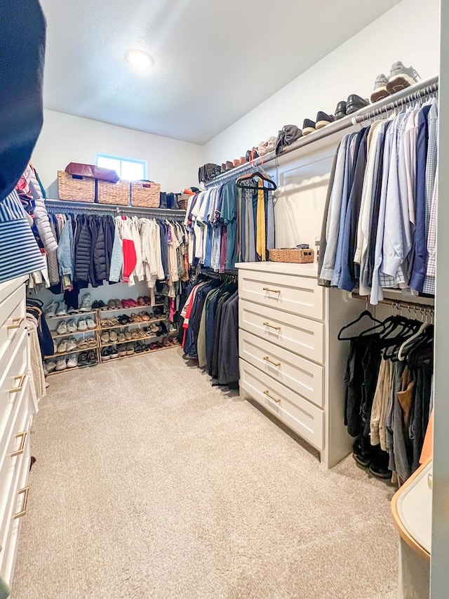 walk in closet with carpet flooring