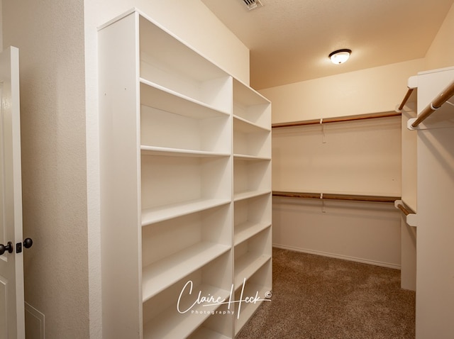 spacious closet with carpet