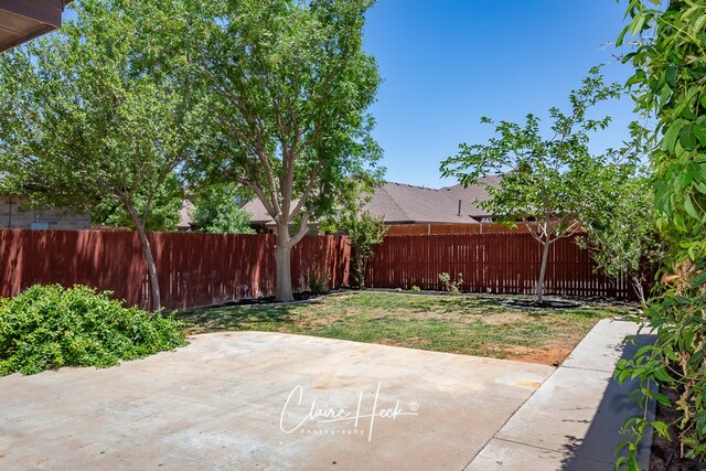 5305 Wimberley Spring Ct, Midland, TX 79707 - view of yard with a patio area