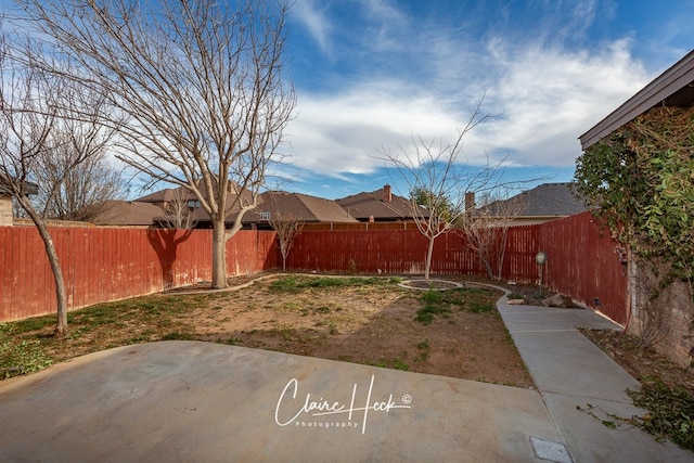 view of yard with a patio and a fenced backyard