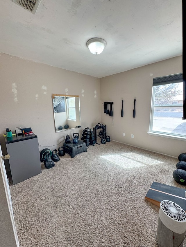 miscellaneous room with visible vents and carpet floors