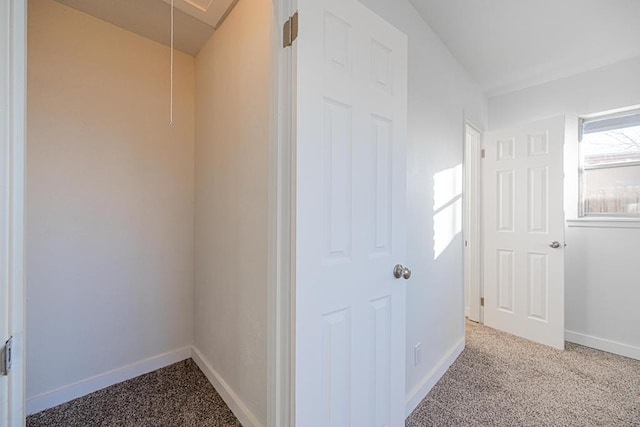 hallway with carpet flooring