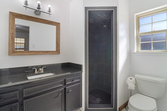 bathroom featuring a shower stall, toilet, and vanity