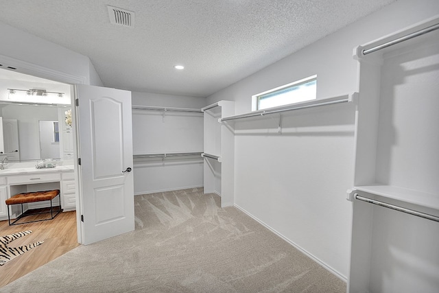 walk in closet featuring light carpet