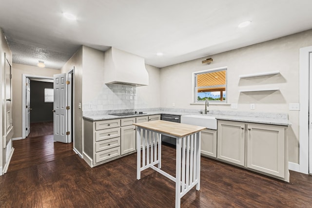504 SW 19th St, Seminole, TX 79360 - kitchen featuring a sink, premium range hood, black electric cooktop, dark wood-style flooring, and butcher block counters
