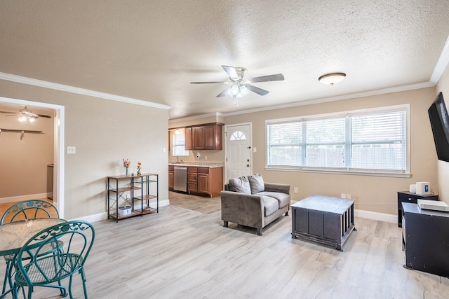 1829 Petroleum Dr, Odessa, TX 79762 - living area featuring ceiling fan, light wood-style flooring, ornamental molding, a textured ceiling, and healthy amount of natural light