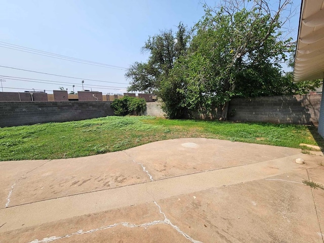 view of yard featuring a patio