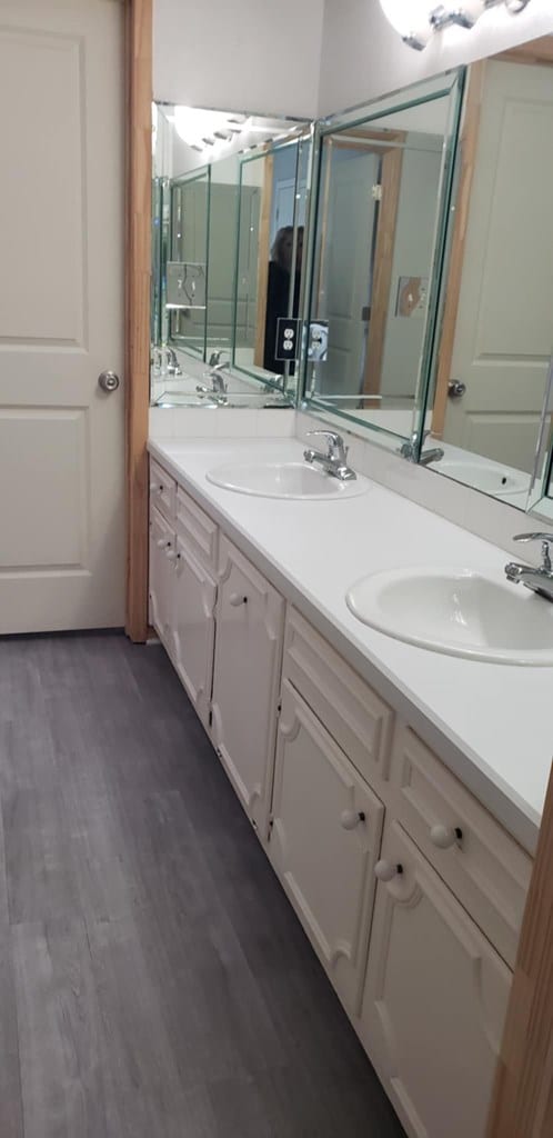 bathroom featuring wood-type flooring and vanity