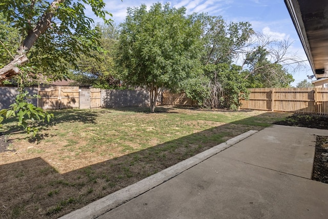 view of yard featuring a patio area