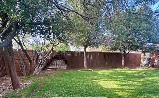 3113 San Pedro Dr, Odessa, TX 79765 - view of yard