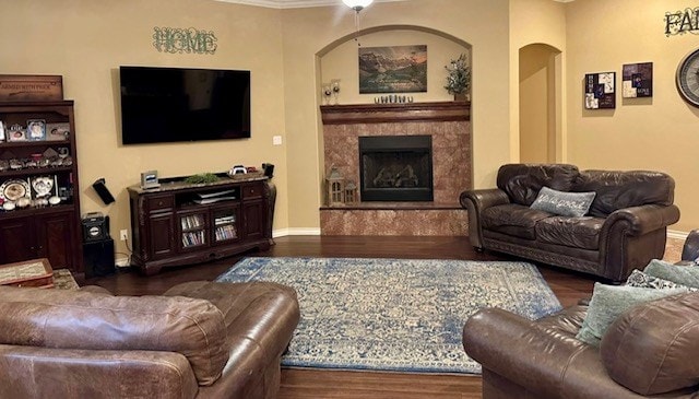 3113 San Pedro Dr, Odessa, TX 79765 - living room featuring wood finished floors, a premium fireplace, arched walkways, and baseboards