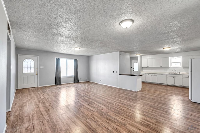 unfurnished living room featuring sink and hardwood / wood-style floors