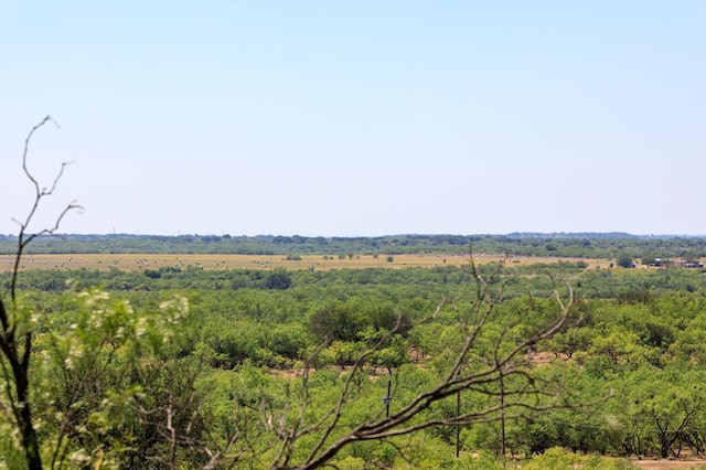 0 County Rd 240, Westbrook, TX 79565 - photo 1