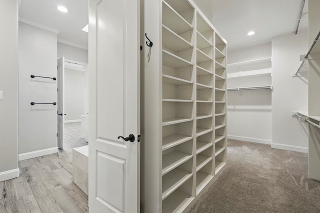 view of walk in closet